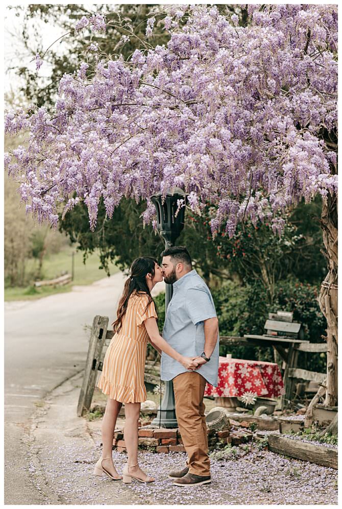 Whistlestop Cafe Fried Green Tomatoes Engagement Shoot