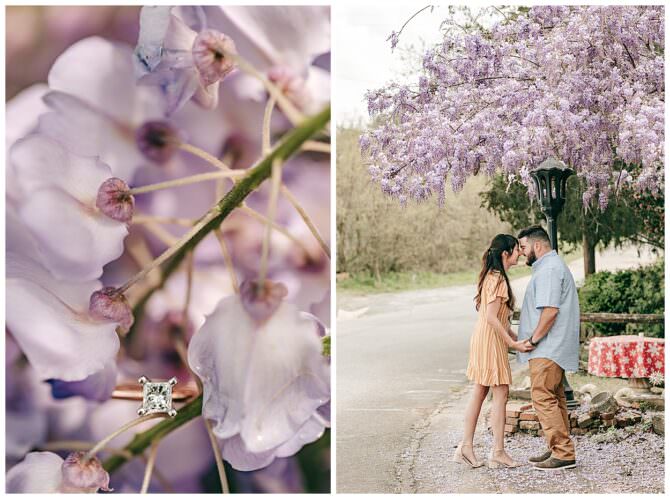 Whistlestop Cafe Fried Green Tomatoes Engagement Shoot